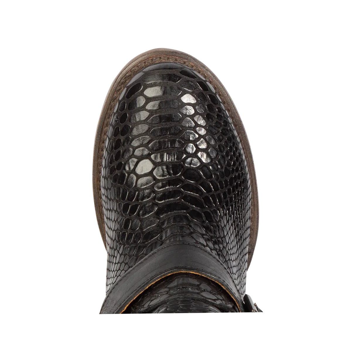 Carson - Black snake - Image 7