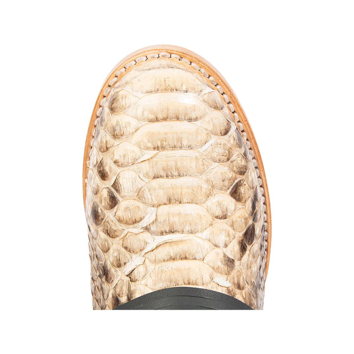 Coal - Black/Beige Python - Image 7