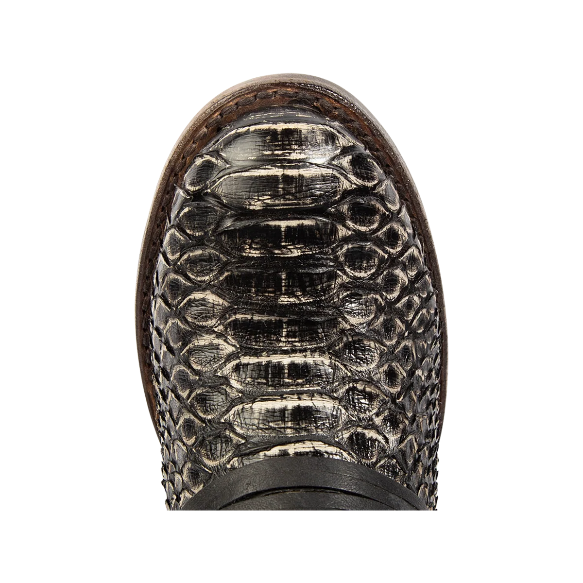 Coal - Grey Python Multi - Image 7