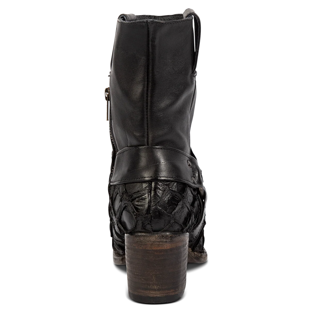 Darcy - Black Fish - Image 5