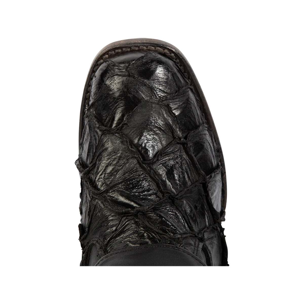 Darcy - Black Fish - Image 6