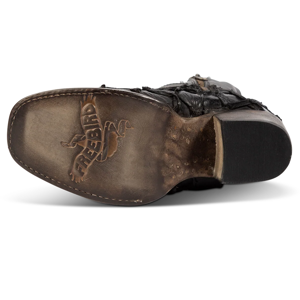 Darcy - Black Fish - Image 7