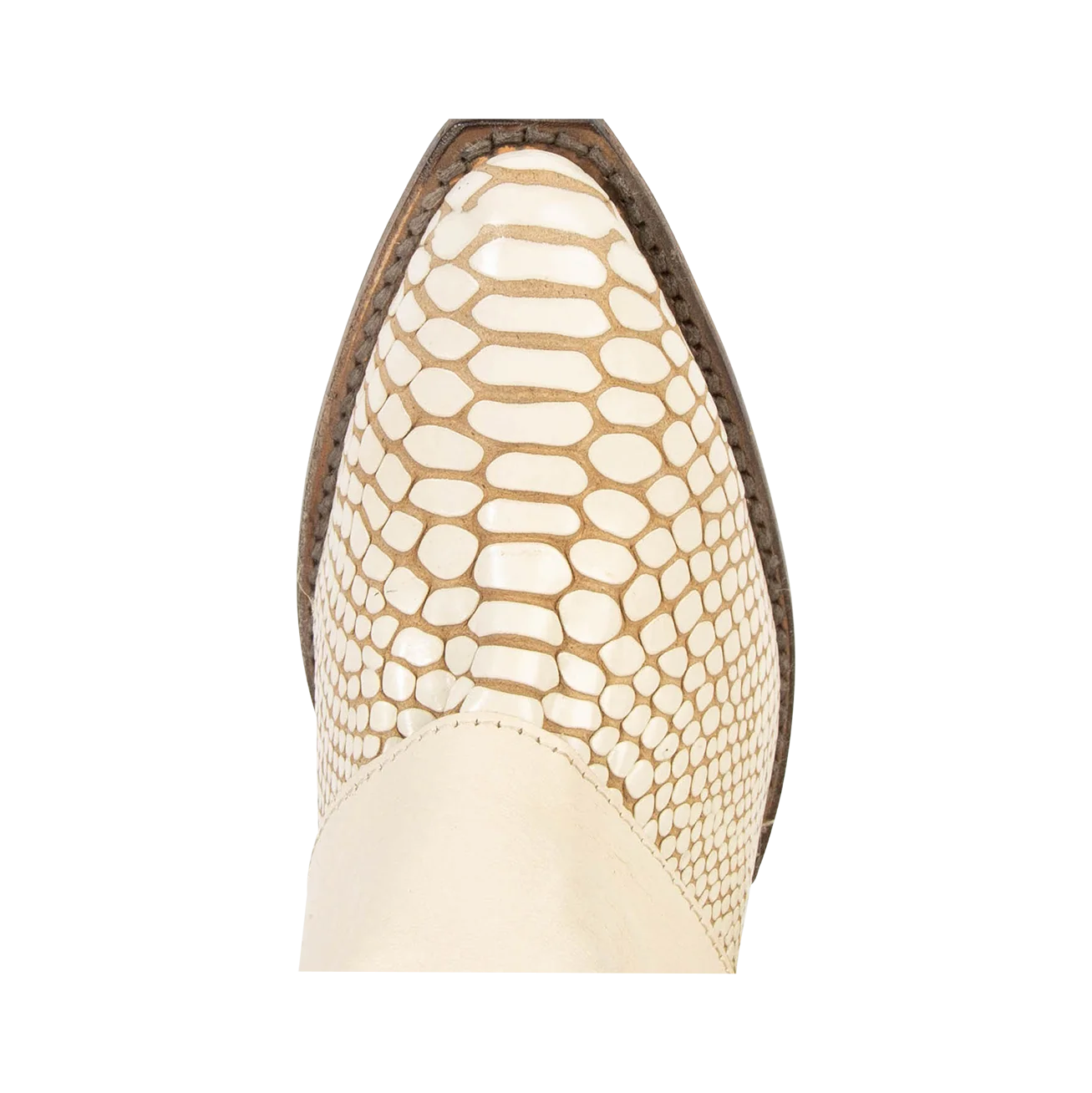 Jules - White Snake - Image 8