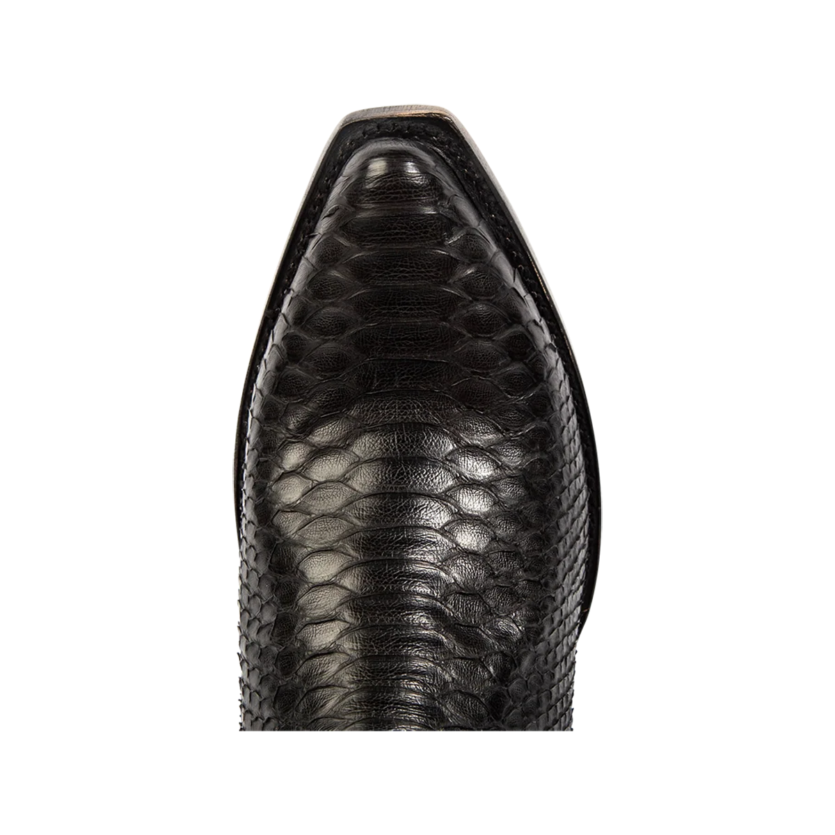 Marshall - Black Python - Image 7
