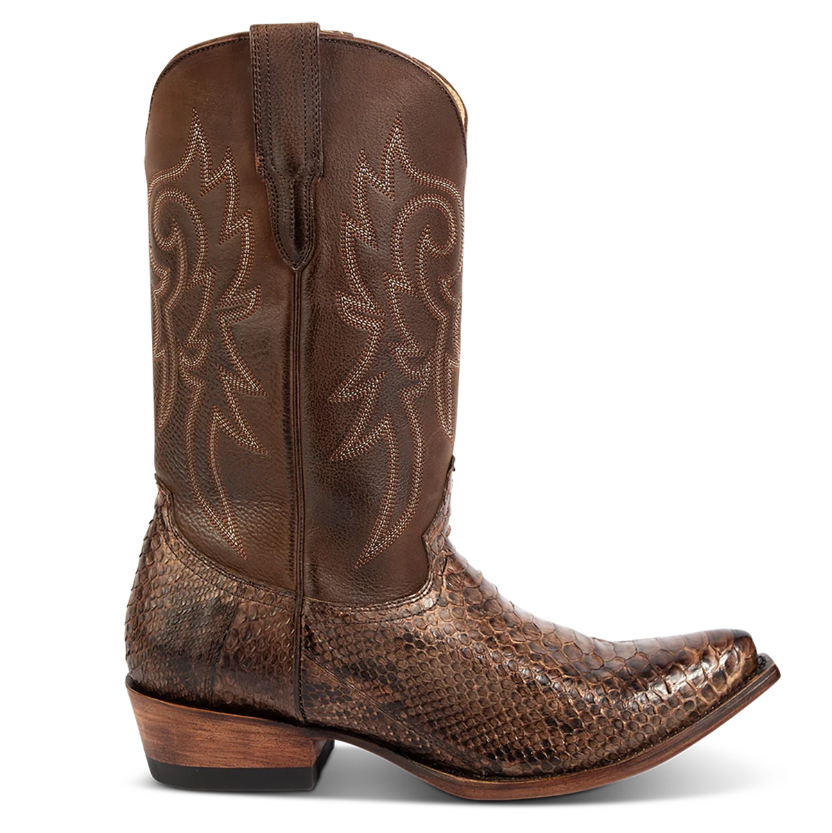 Marshall - Brown Python - Image 3