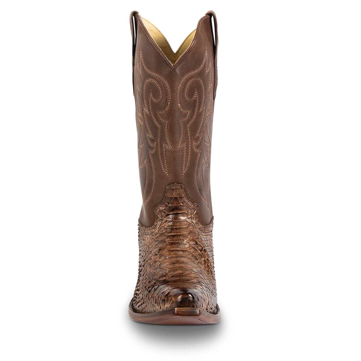 Marshall - Brown Python - Image 4