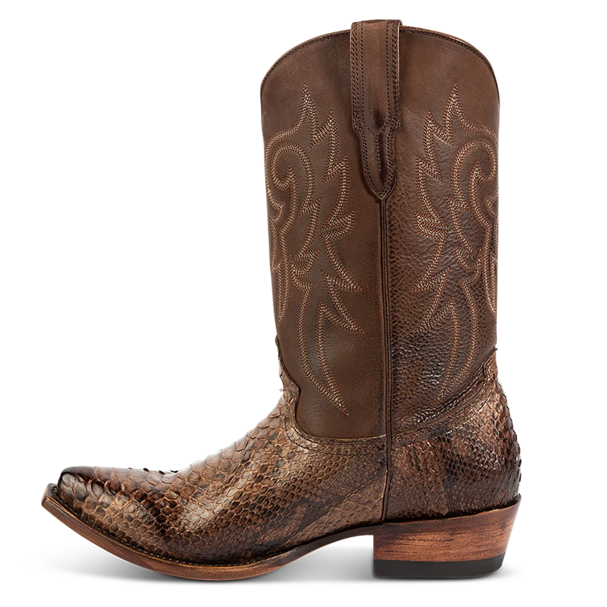 Marshall - Brown Python - Image 5