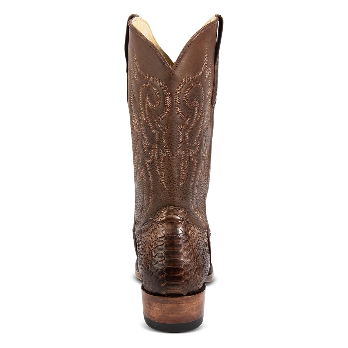 Marshall - Brown Python - Image 6
