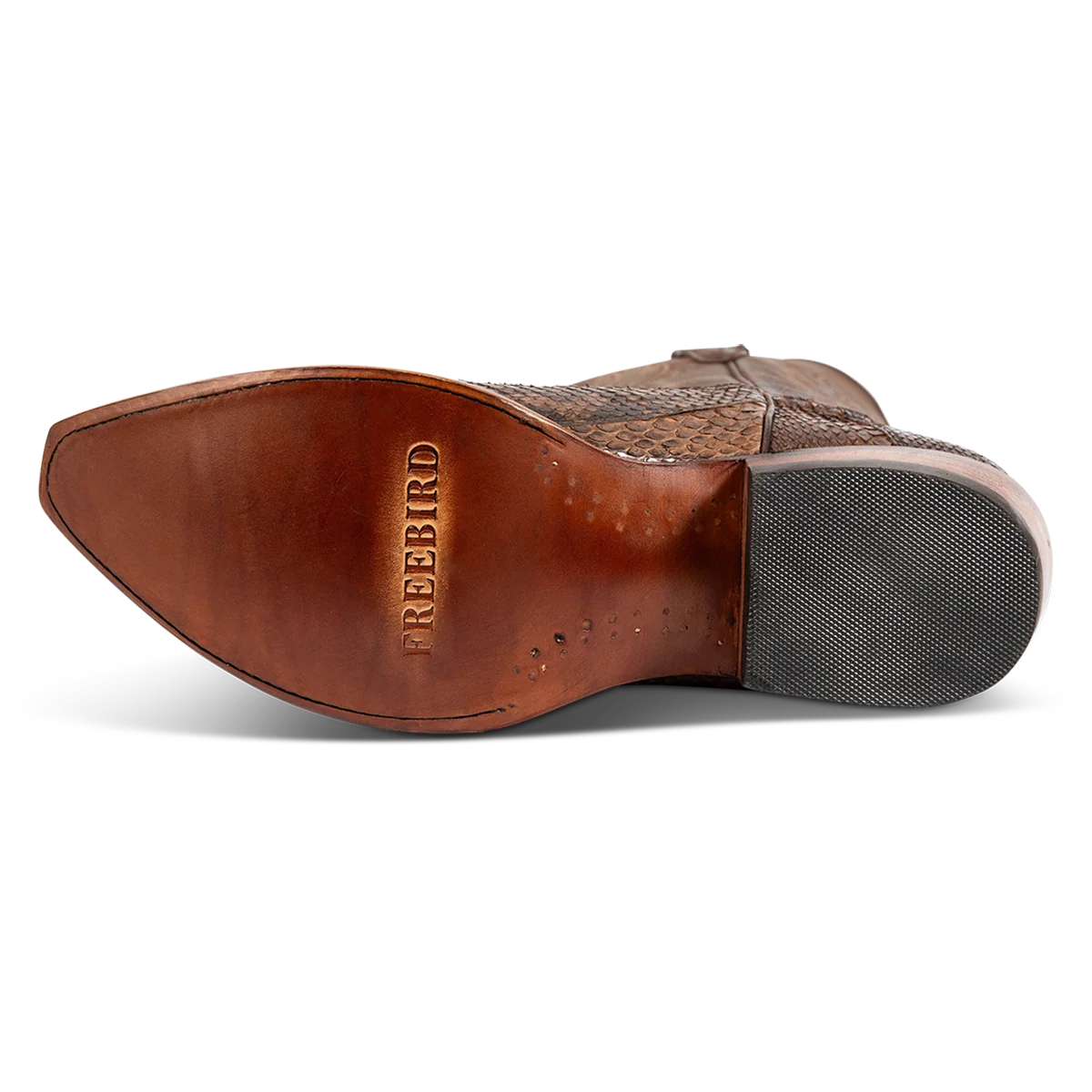 Marshall - Brown Python - Image 8