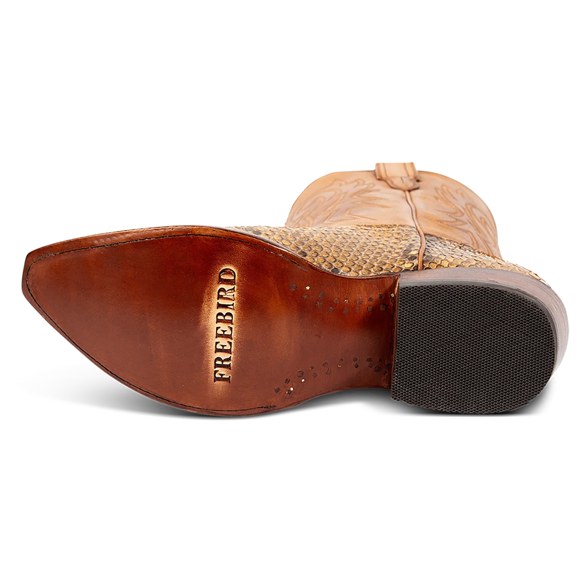 Marshall - Canary Python - Image 8