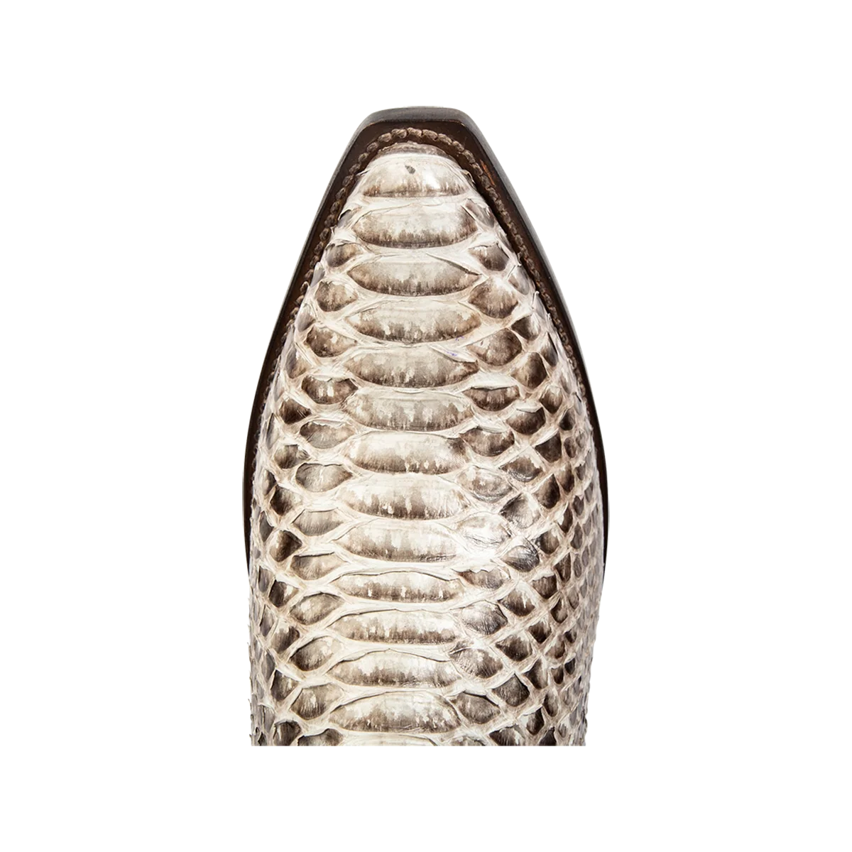 Marshall - Grey Python - Image 7