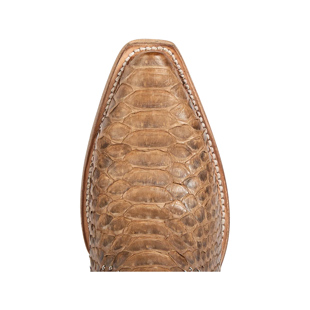 Morgan - Tan Python - Image 7
