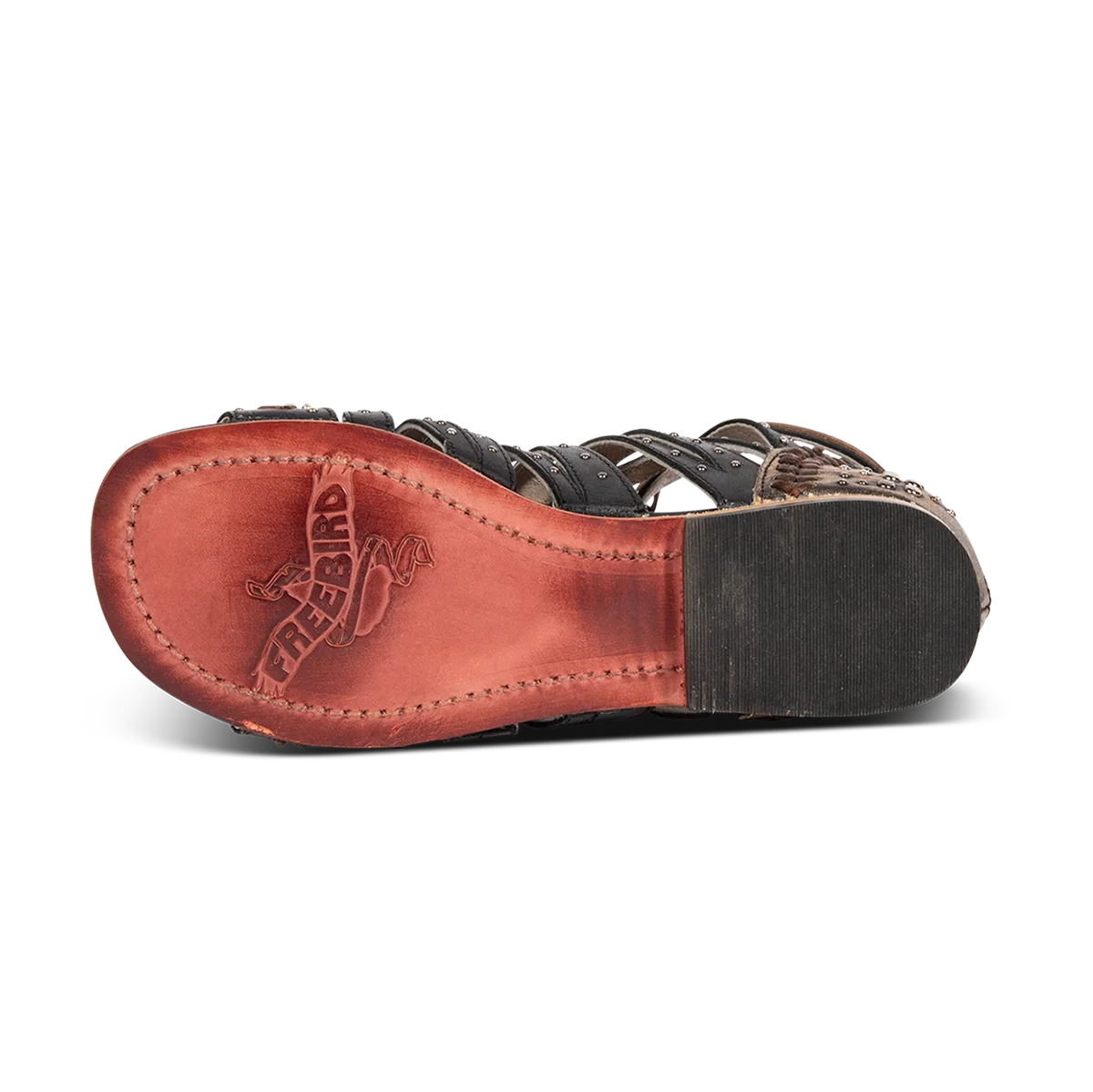 Swan - Black - Image 8