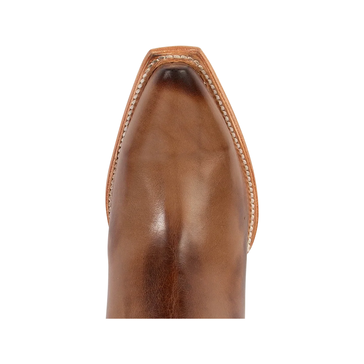 Thunderbird - Beige - Image 7