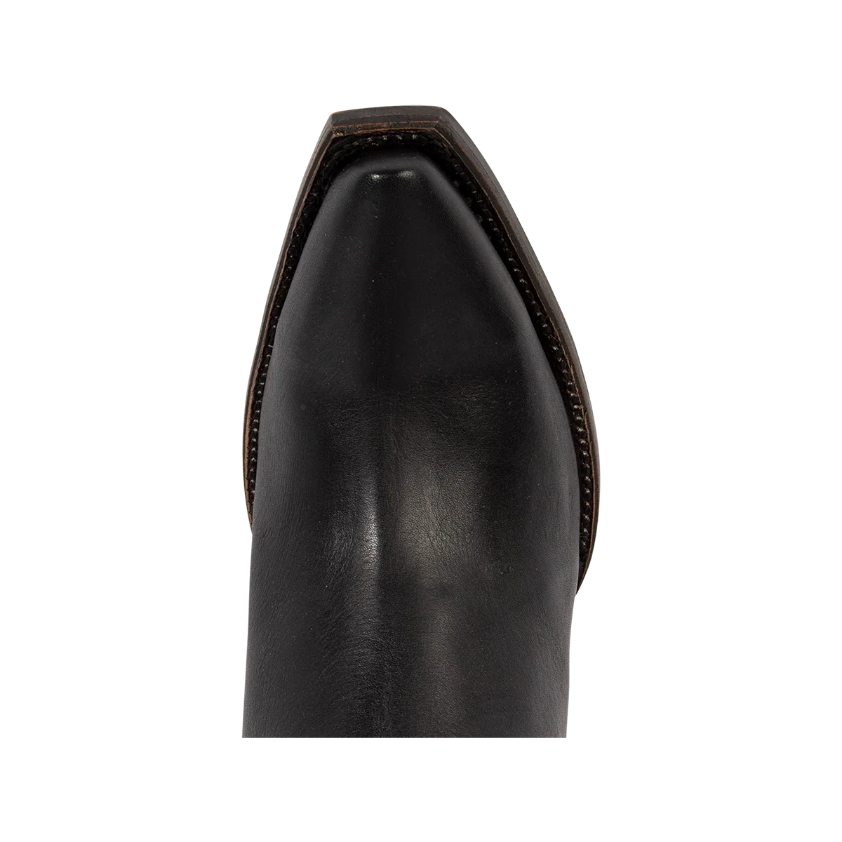 Thunderbird - Black - Image 7