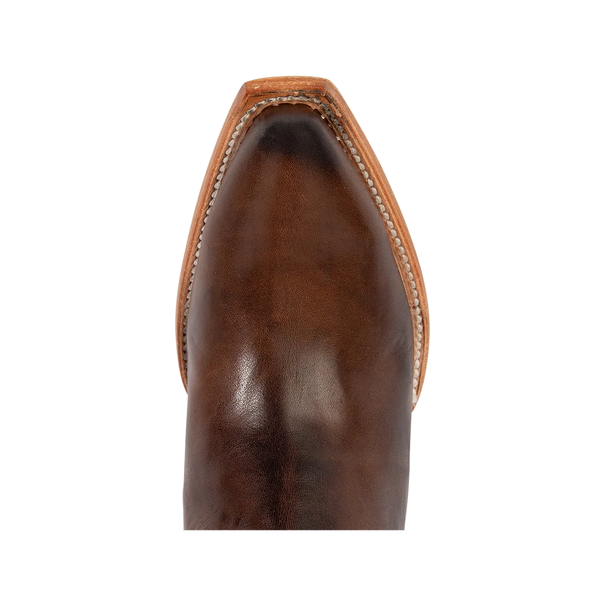 Thunderbird - Brown - Image 7