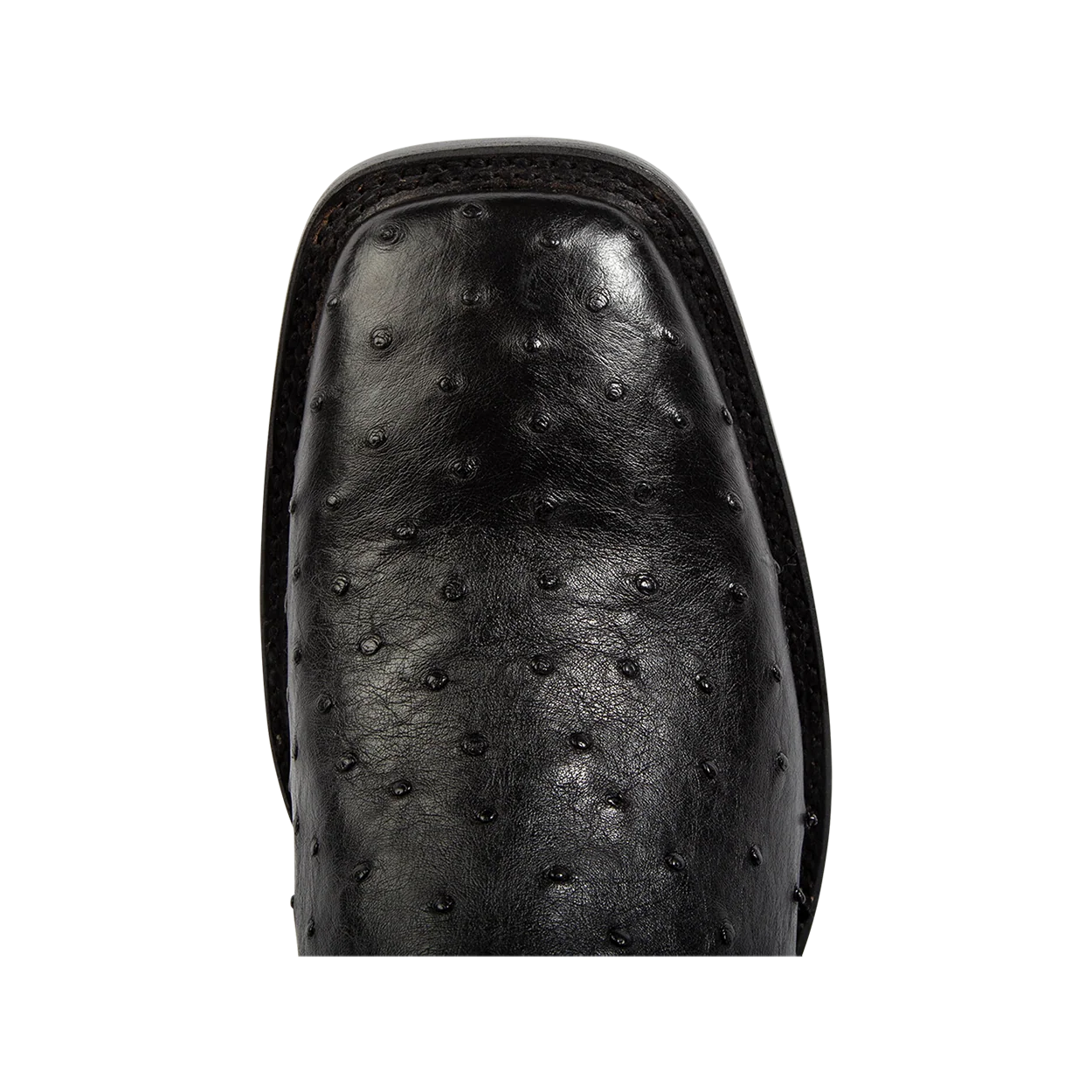 Union - Black Ostrich - Image 7