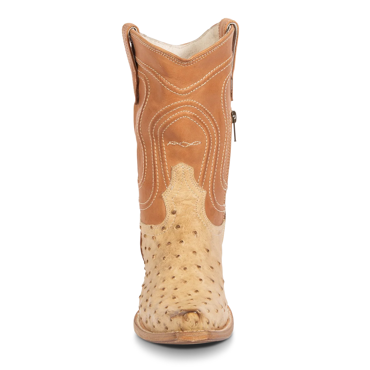 Warrick - Beige Ostrich Multi - Image 4