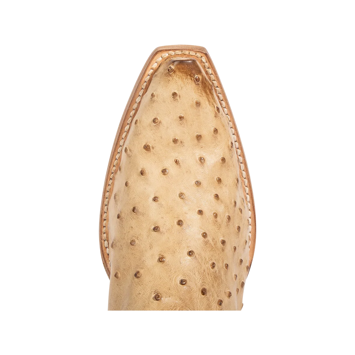 Warrick - Beige Ostrich Multi - Image 7