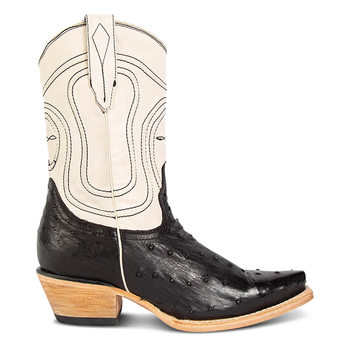Warrick - Black Ostrich Multi - Image 3