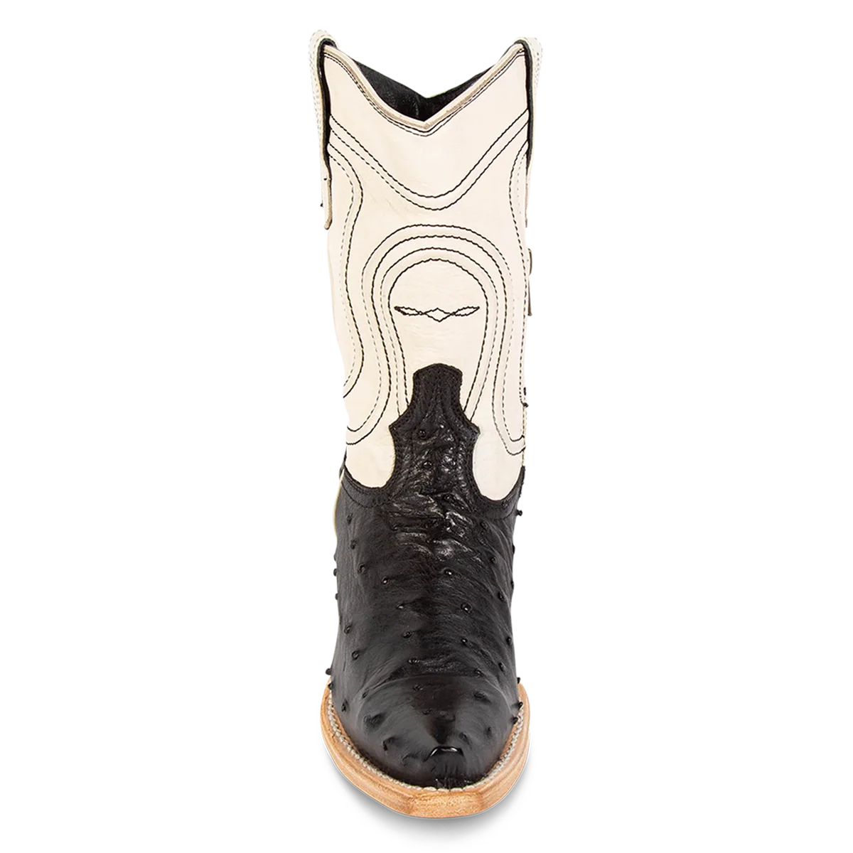 Warrick - Black Ostrich Multi - Image 4