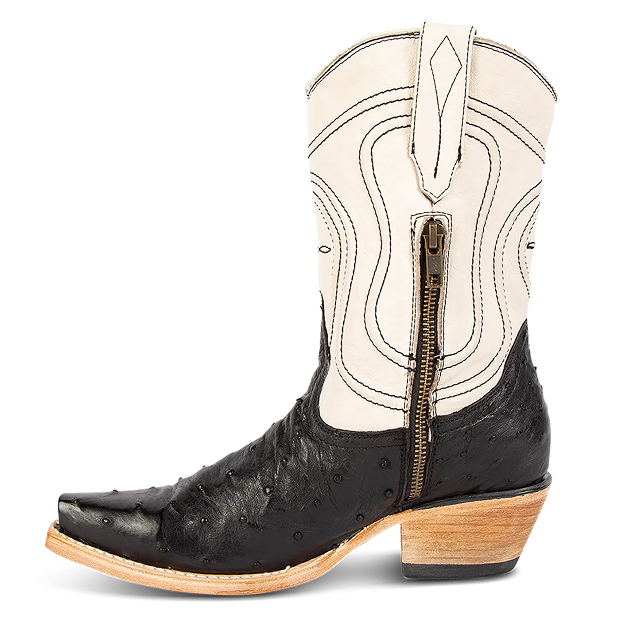 Warrick - Black Ostrich Multi - Image 5