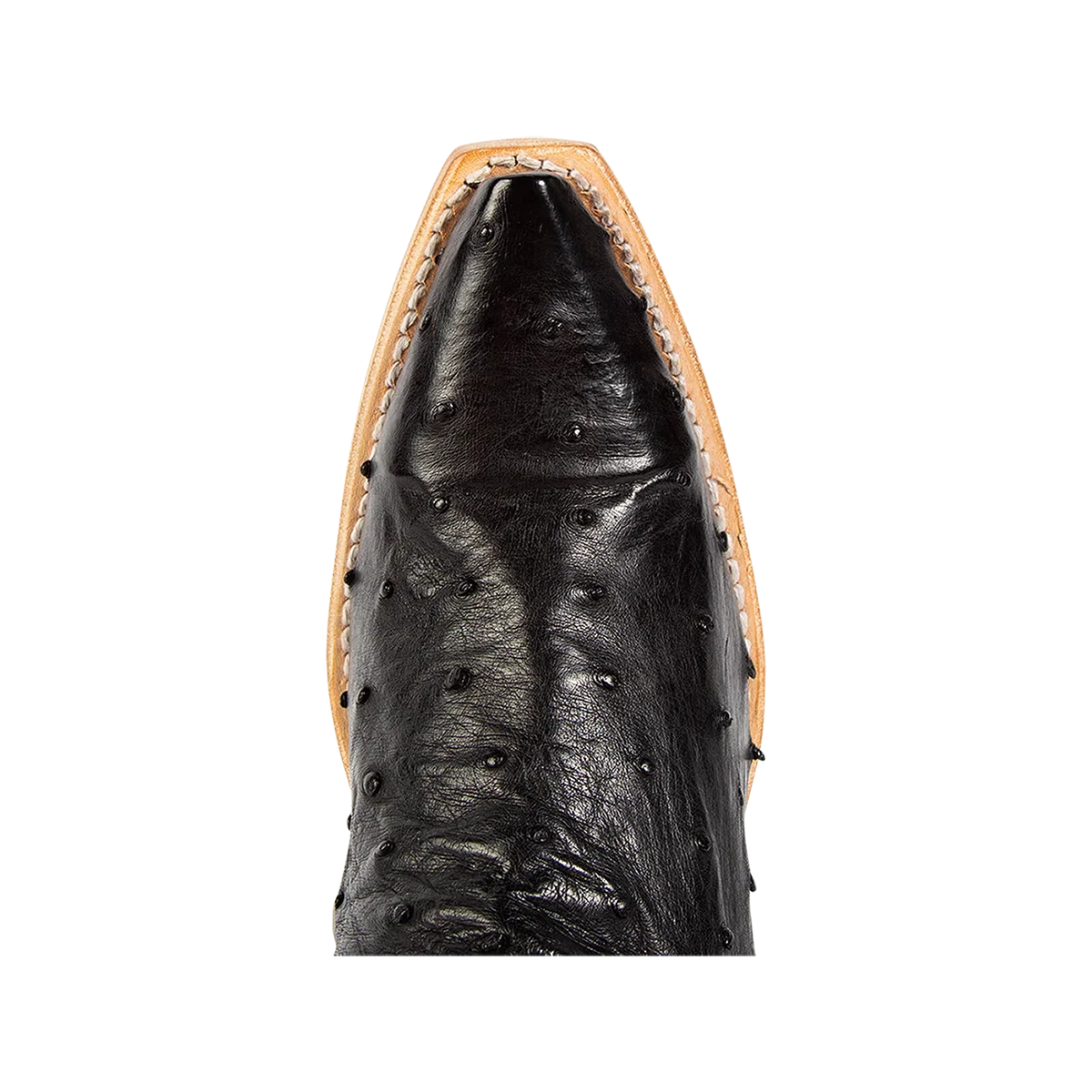 Warrick - Black Ostrich Multi - Image 8